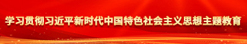 骚逼干得爽学习贯彻习近平新时代中国特色社会主义思想主题教育